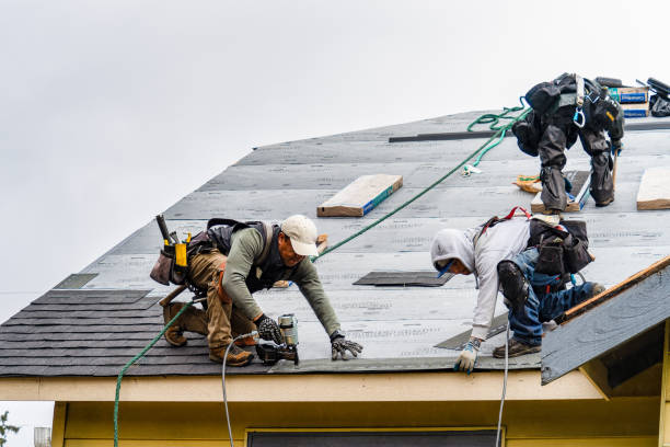 Professional Roofing technician working in Chester, ID
